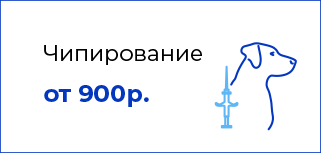 Чипирование