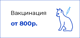 Вакцинация