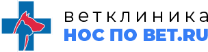 Нос по Вет.ru