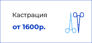 Кастрация