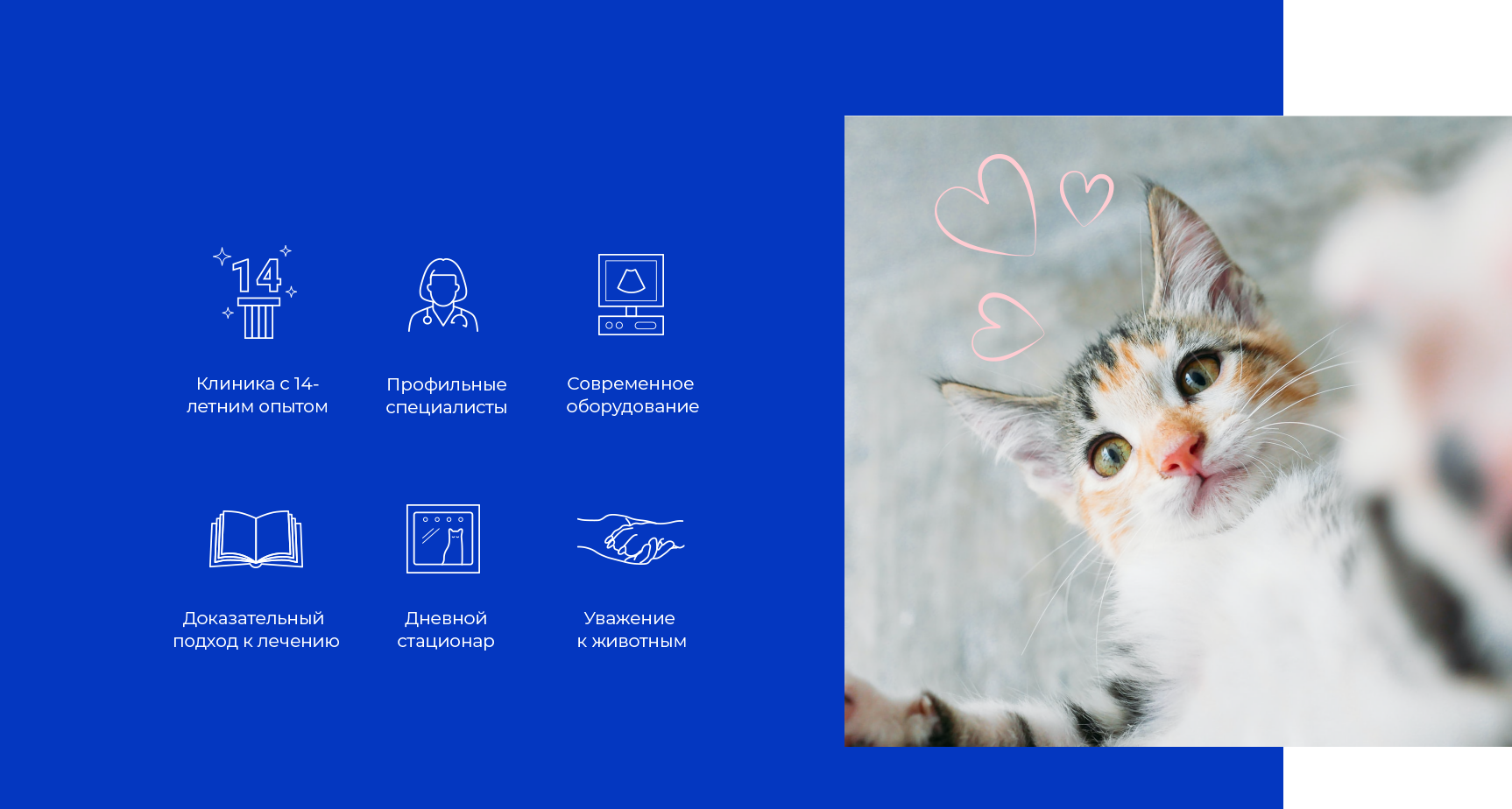 Почему выбирают нас